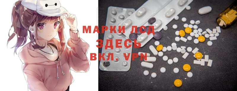 сколько стоит  Каменск-Шахтинский  blacksprut   LSD-25 экстази ecstasy 